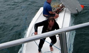 Kreeftrekkers dop om